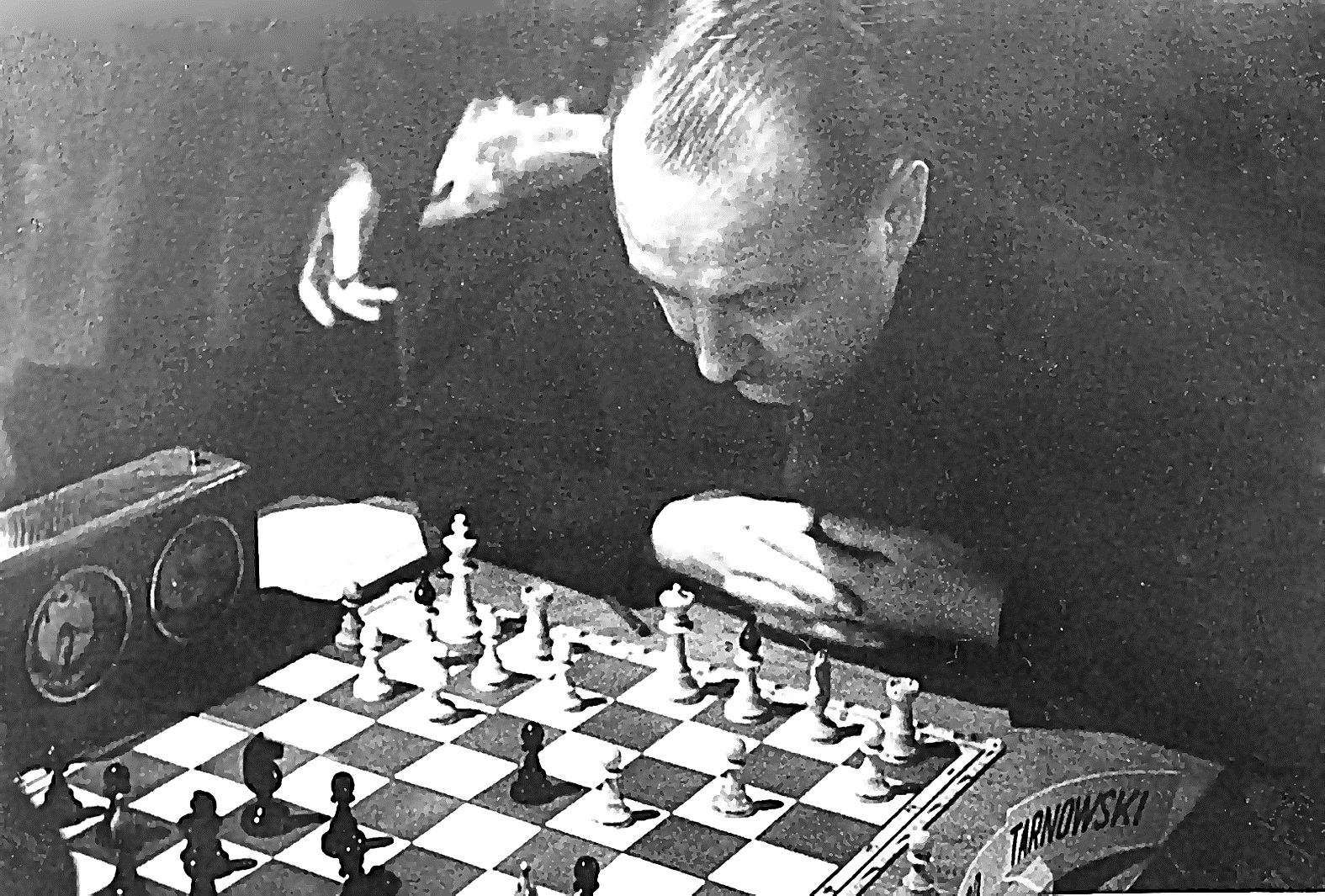 Альфред Тарновский шахматист