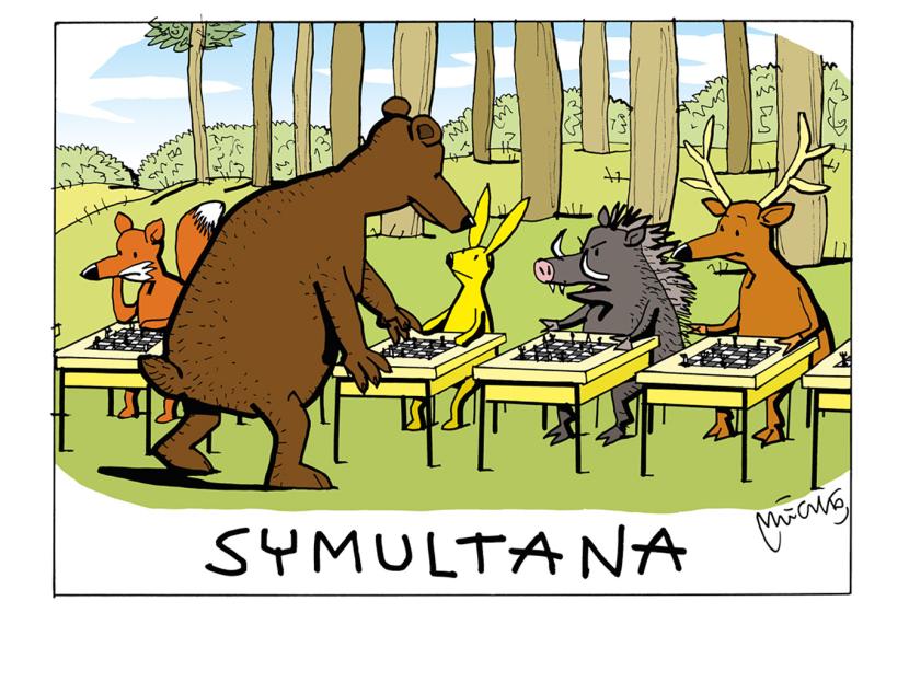 Symultana wg.Mleczki